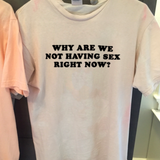 "Why Are We Not Having Sex Right Now?" Tee