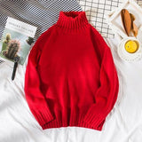 Double Double Knit Turtleneck Sweater