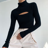 Knitted Ribbed Turtleneck Top