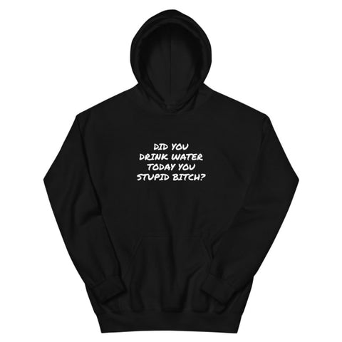 Did You Drink Water Today? Hoodie