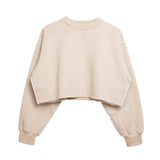 Assorted Pastel Basic Crop Top Sweater