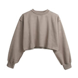 Assorted Pastel Basic Crop Top Sweater