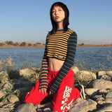 Multi Colored Knitted Striped Cropped Top