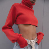 Cropped  Knitted Turtleneck Pullover