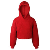 Classic Sherpa Pullover Hoodie