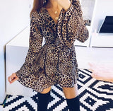 Leopard Wrap Dress